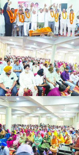 Unemployment pushing J&K youth towards despair and drug menace: Vakar Rasool Unemployment pushing J&K youth towards despair and drug menace: Vakar Rasool