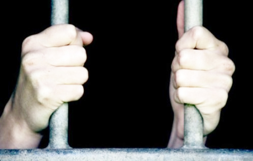 Odisha–Kashmir cannabis smuggling racket busted: Two arrested by NCB Odisha–Kashmir cannabis smuggling racket busted: Two arrested by NCB