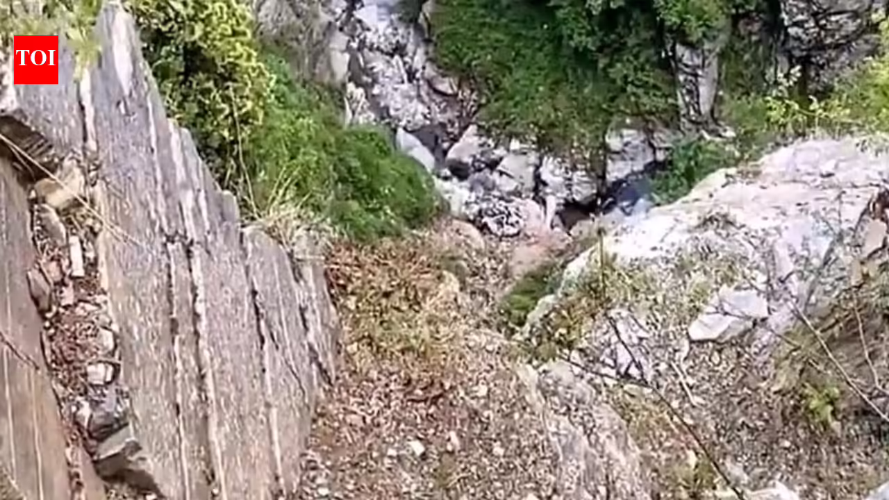 Army officer dies after falling into gorge during anti-terror operation in J&K’s Rajouri | India News