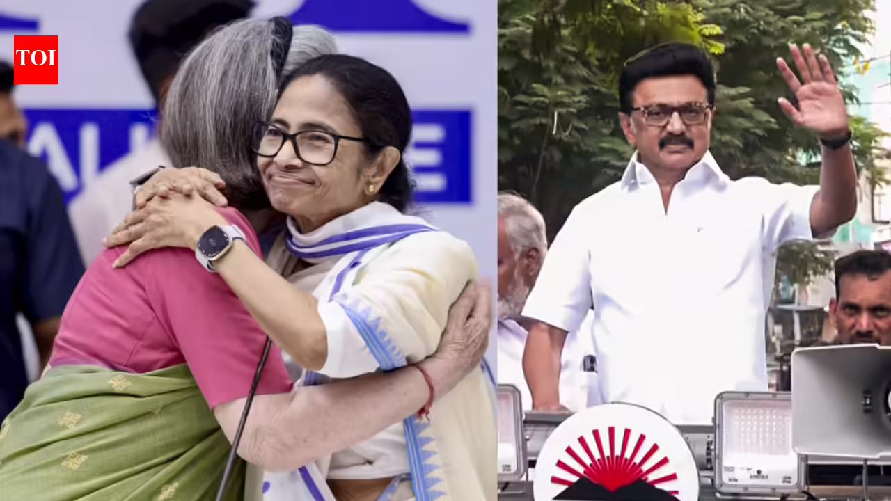 India Bloc: The INDIA bloc divide: Why Mamata is all in but Stalin is walking her ‘ekla chalo’ path | India News