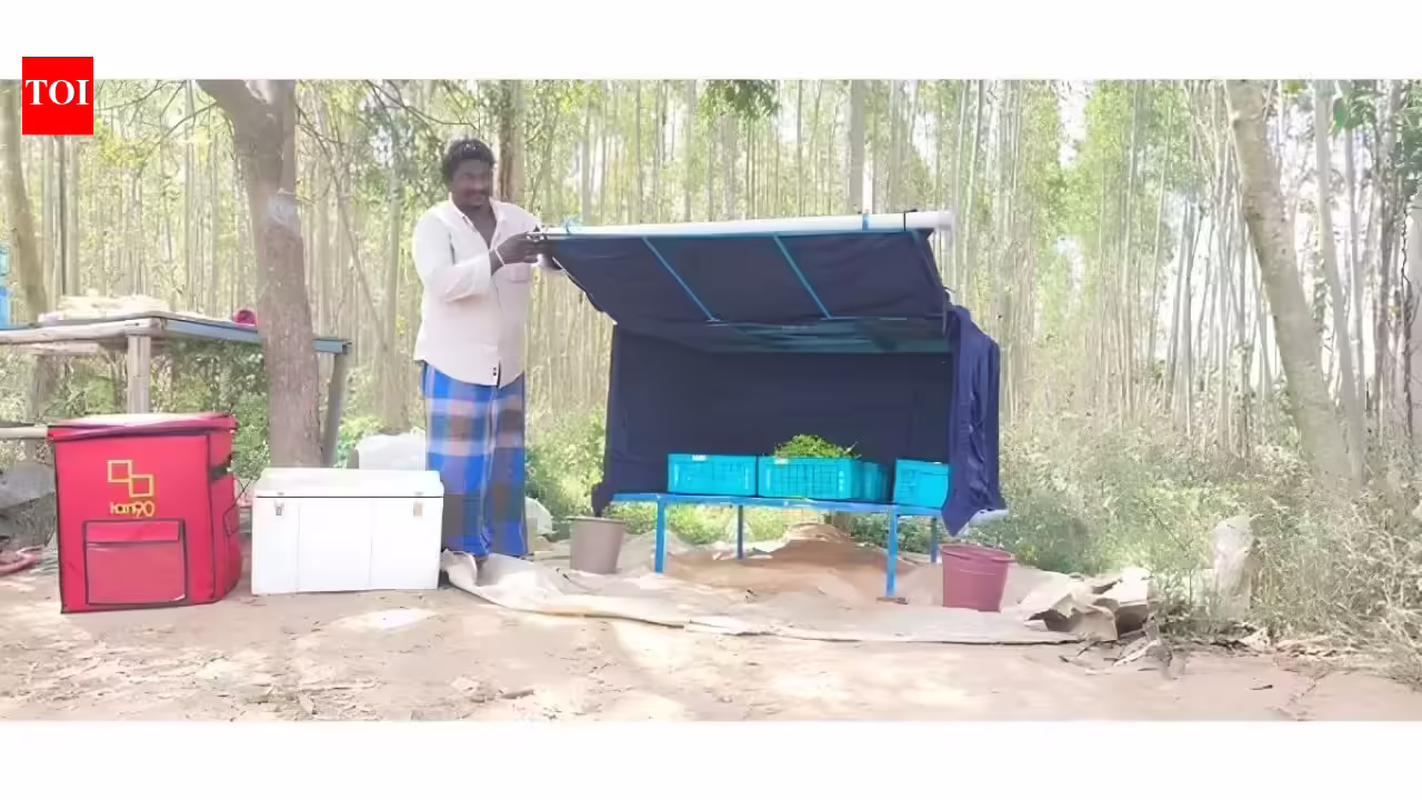 Revolutionizing India’s Cold Chain: From Farmers to Urban Markets | India News