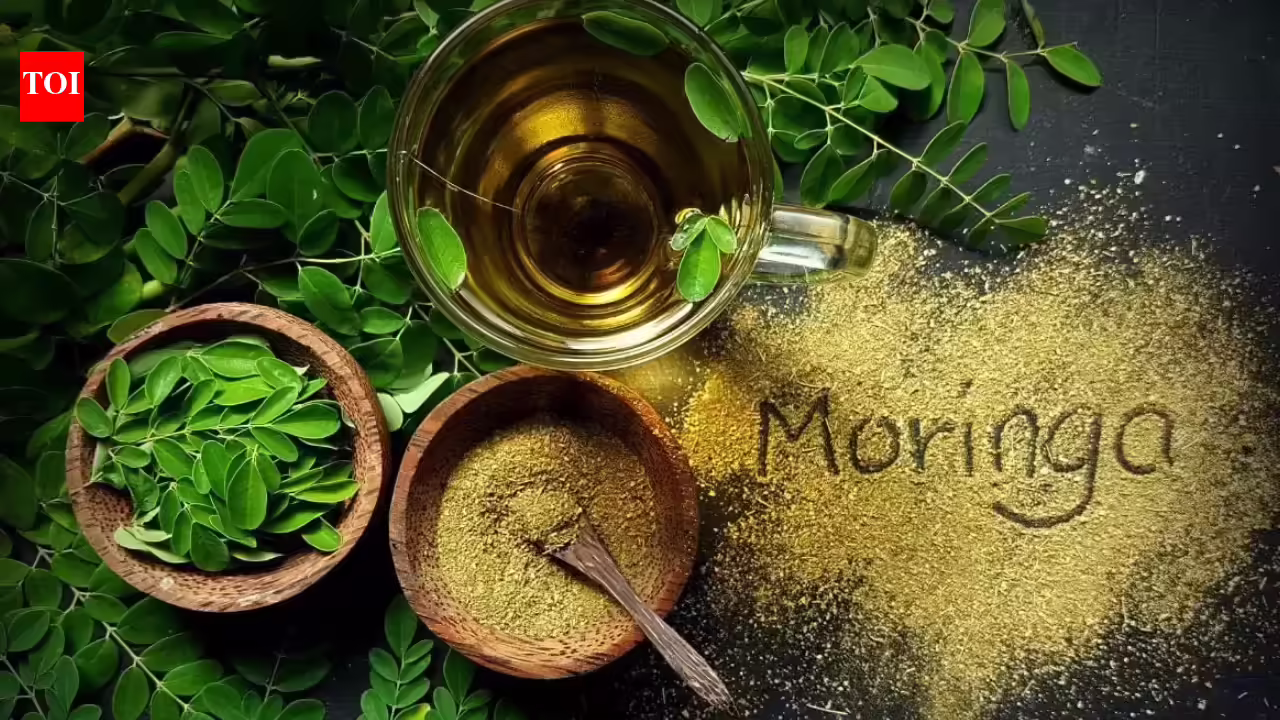 Dharmapuri farmers drum up profits with moringa | India News