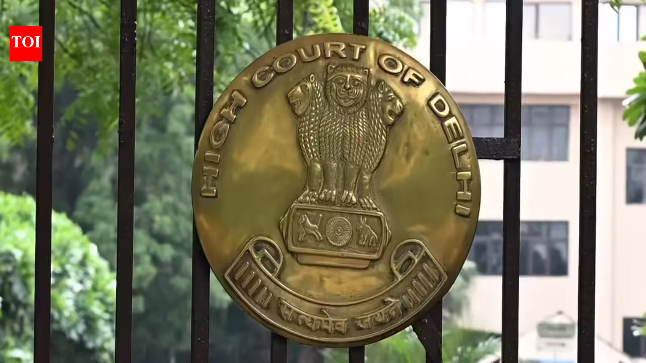 Delhi HC grants bail to terror funding accused | India News