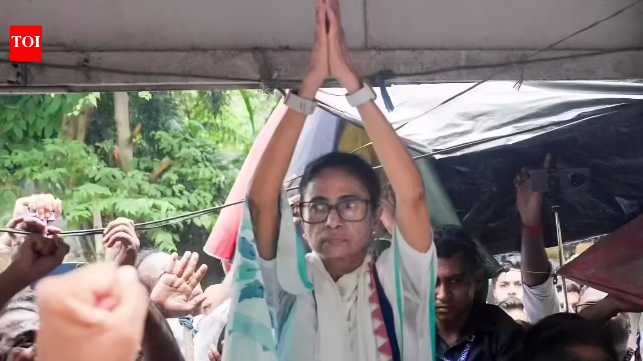 TMC may be headed NCP, Sena way, rebels claim support of 19 of 28 MPs | India News
