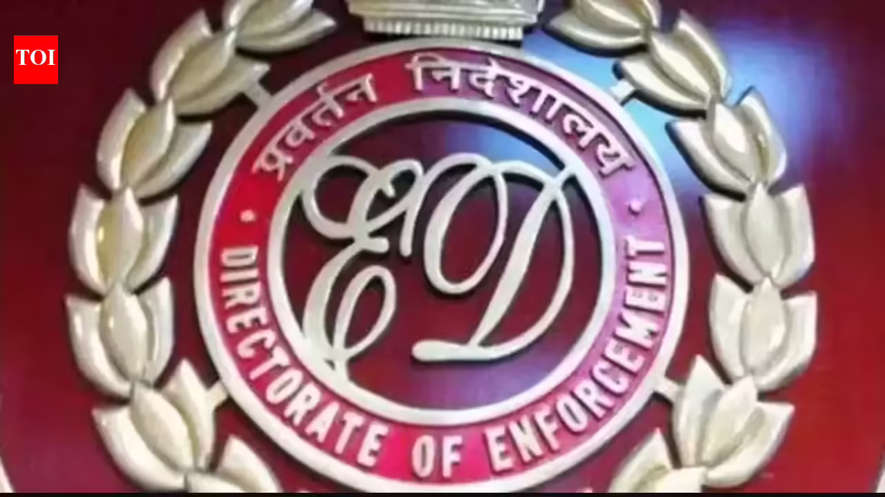 ED to appeal HC order quashing NewsClick case | India News