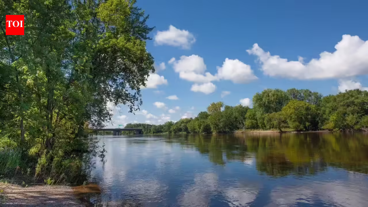 In 1812, a powerful earthquake made the Mississippi River flow backwards and created a lake that still exists today | World News In 1812, a powerful earthquake made the Mississippi River flow backwards and created a lake that still exists today | World News