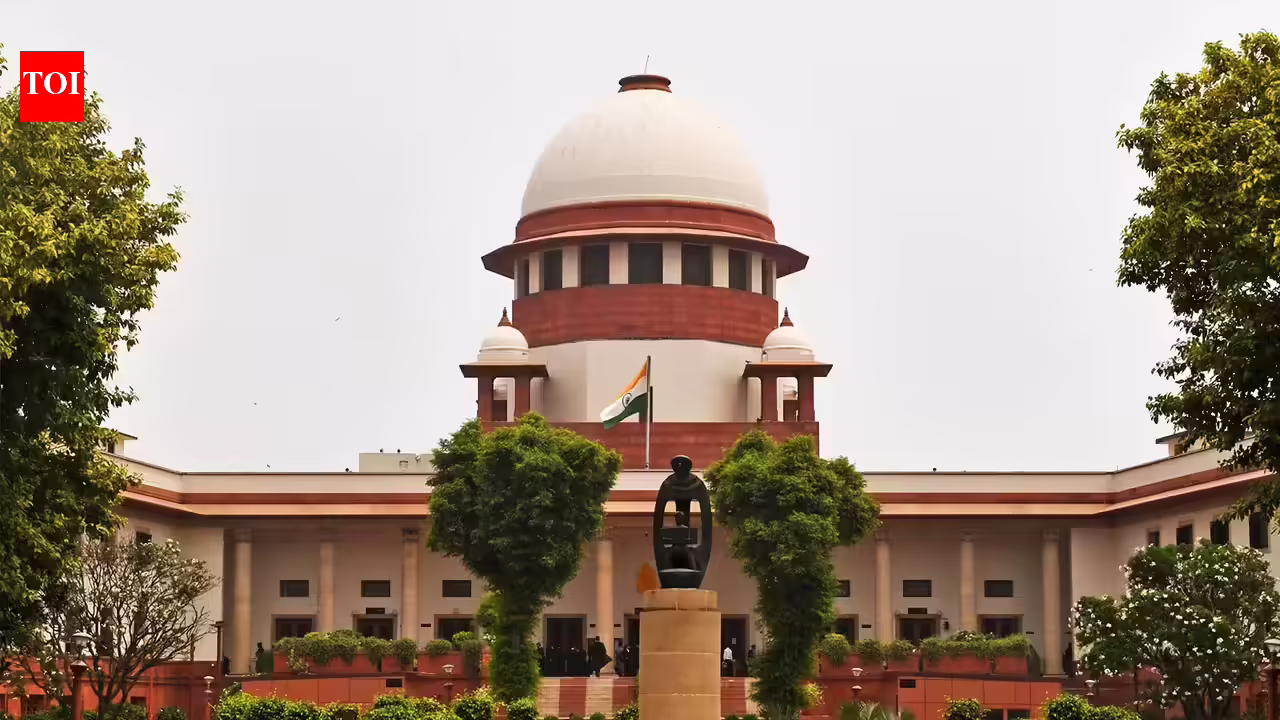 Psych evaluation of parents a must in child custody disputes, rules SC | India News