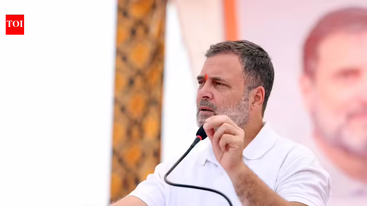 Despite rift, Rahul Gandhi says DMK with opposition on ‘idea of India’ | India News