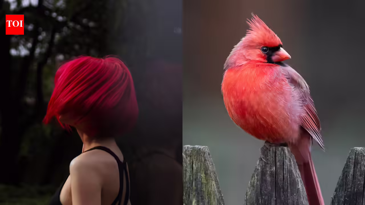 The reason behind red and orange hair in humans revealed: Birds unlock evolutionary mystery of ginger hair |
