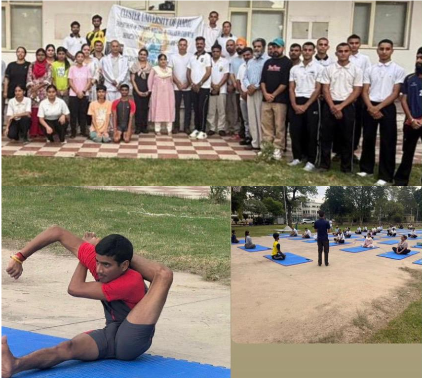 CLUJ organizes International Yoga Day 2026 celebration at School of Social Sciences