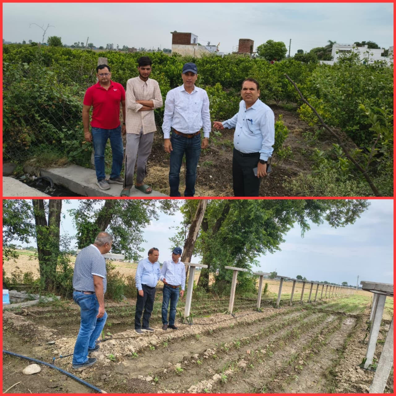 Director Horticulture Jammu visits progressive farmers’ fields in Zone R.S. Pura to assess cultivation of dragon fruit