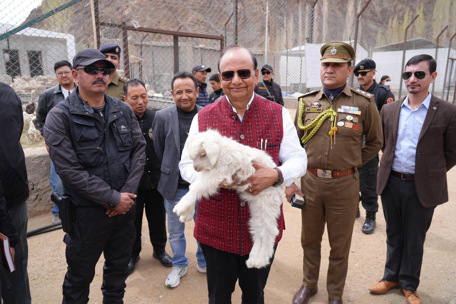 LG Saxena approves constitution of Ladakh Pashmina Development Board to transform value chain