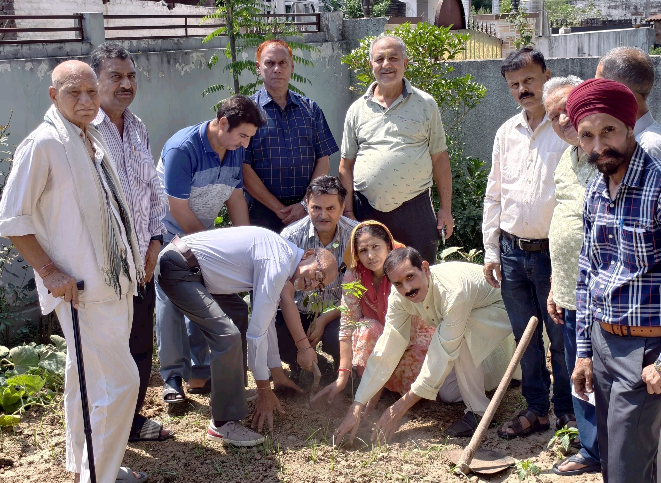 Tree plantation drive organized in Anand Vihar