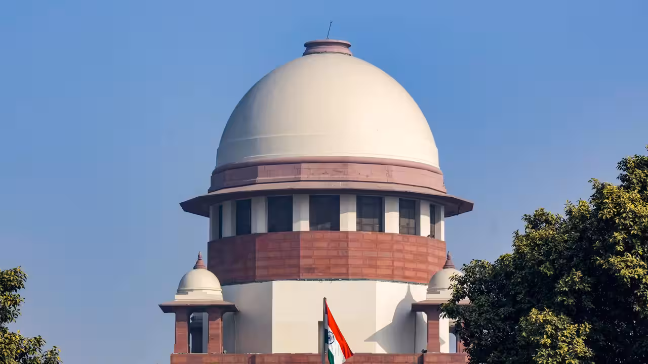Petitioner hurls papers, ‘orders’ SC to file FIR | India News Petitioner hurls papers, ‘orders’ SC to file FIR | India News