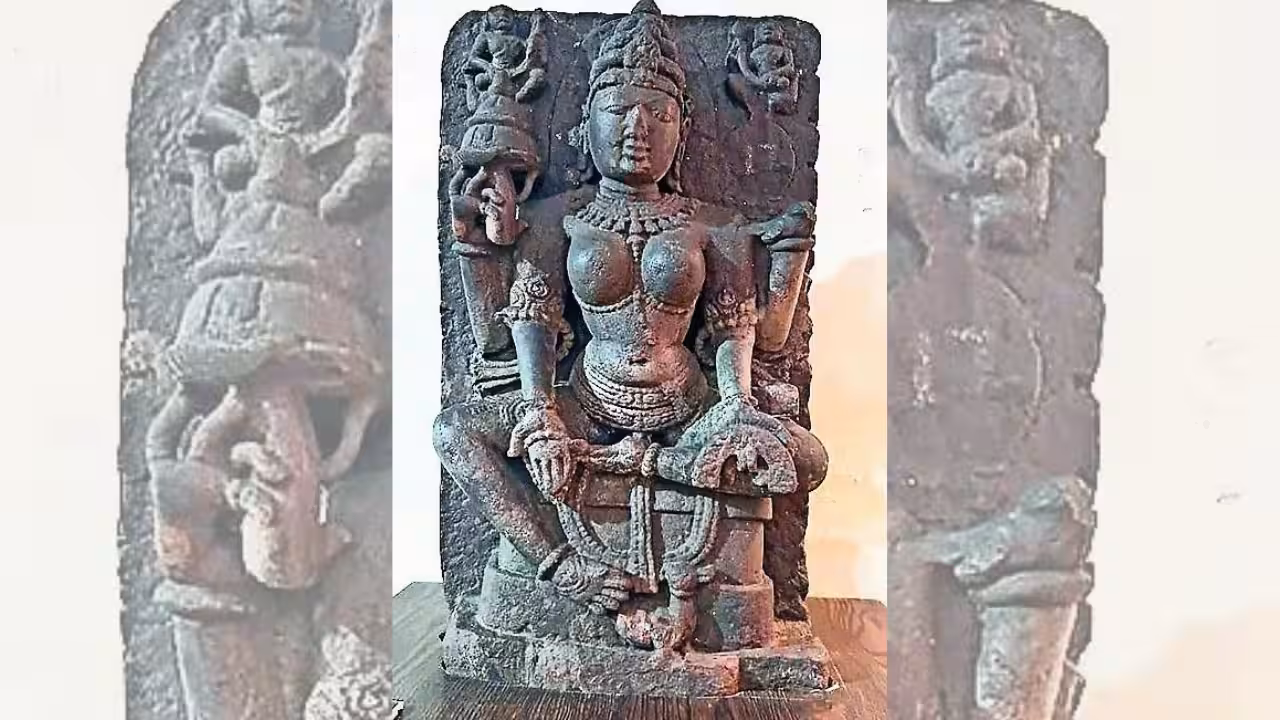 Goddess Gayatri: Dhar’s Saraswati is Gayatri: Science ends 900-year mix-up | India News