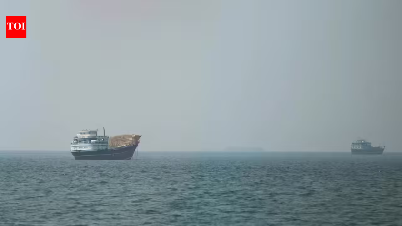 Avoid deploying sailors on vessels moving via Strait, DGMA tells companies | India News