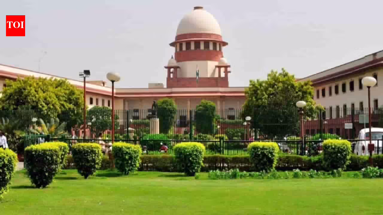 Does marital rape law shield men from unnatural sex prosecution? | India News