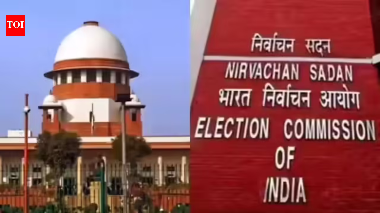 EC can delete doubtful voters, cannot decide citizenship: SC | India News EC can delete doubtful voters, cannot decide citizenship: SC | India News