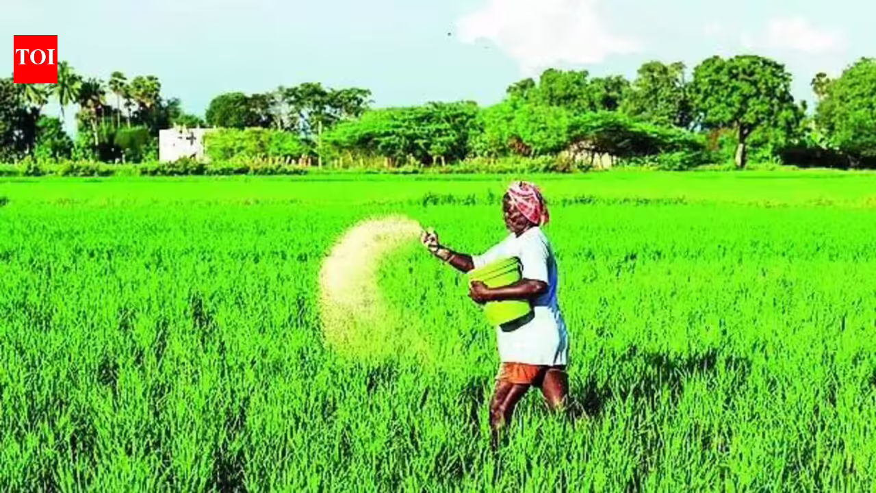 Global urea prices ease after May spike, fall 40% in June | India News