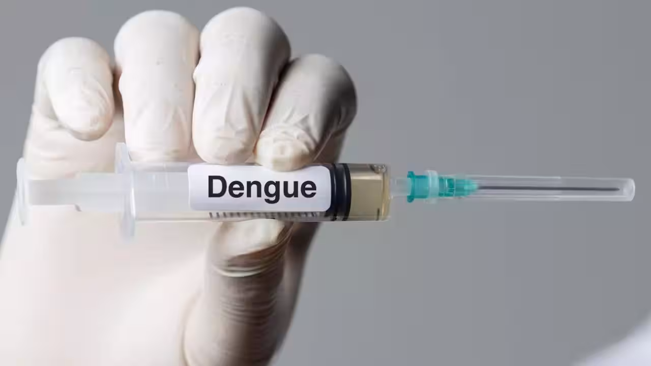 1st dengue vaccine gets DCGI nod, set to hit market next year | India News 1st dengue vaccine gets DCGI nod, set to hit market next year | India News