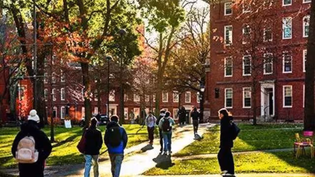 Harvard University: US probing Harvard over financial aid programmes Harvard University: US probing Harvard over financial aid programmes