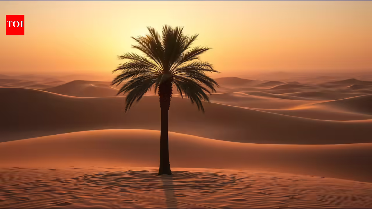 Quote of the day on discretion and self-preservation: ‘It’s good to know the truth and speak it. But it is even better to know the truth and speak of palm tree’ Quote of the day on discretion and self-preservation: ‘It’s good to know the truth and speak it. But it is even better to know the truth and speak of palm tree’