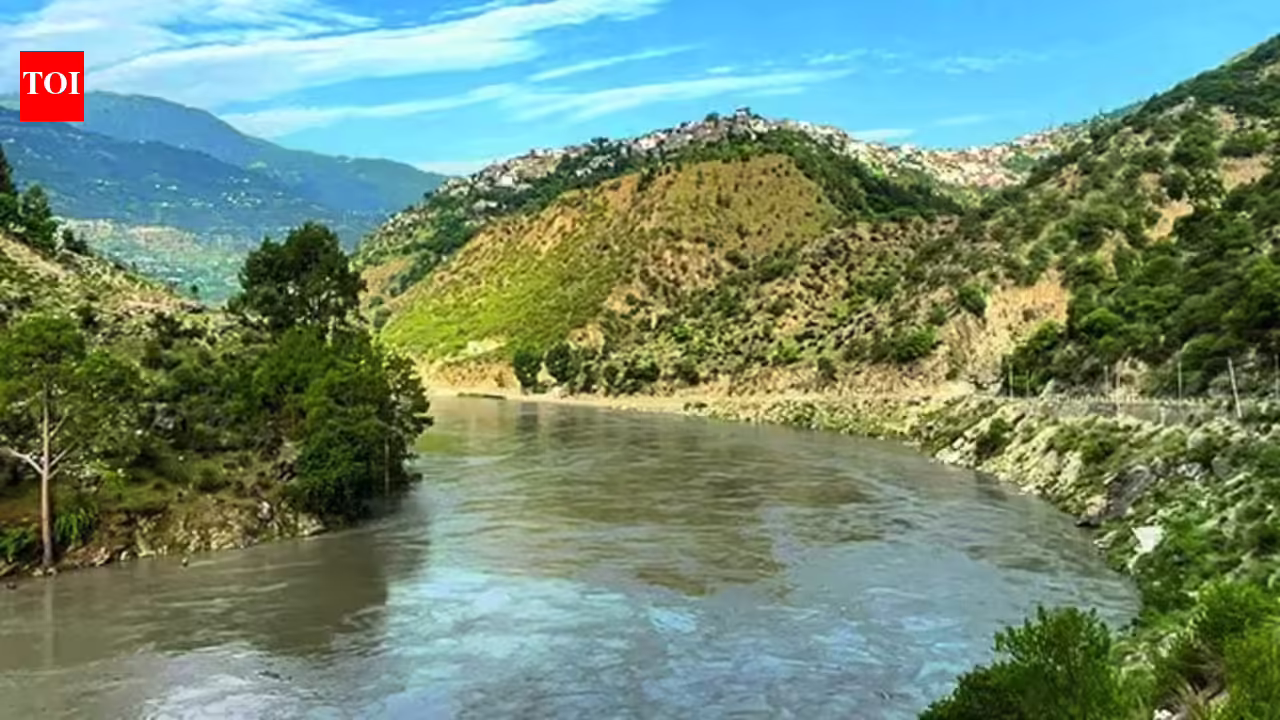 Govt dismisses Pak allegation of India deliberately causing flooding | India News Govt dismisses Pak allegation of India deliberately causing flooding | India News
