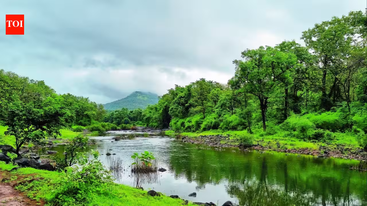 Western Ghats Ecological Zones: Centre notifies 7th draft for ecological zones in Western Ghats | India News Western Ghats Ecological Zones: Centre notifies 7th draft for ecological zones in Western Ghats | India News