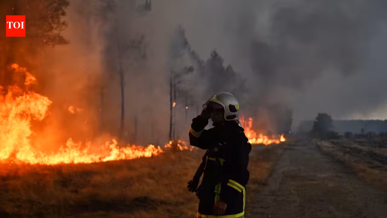 Canada’s 2023 wildfires burned 15.1 million hectares and released 554 million tonnes of carbon; scientists found most came from soil and peat beneath the trees