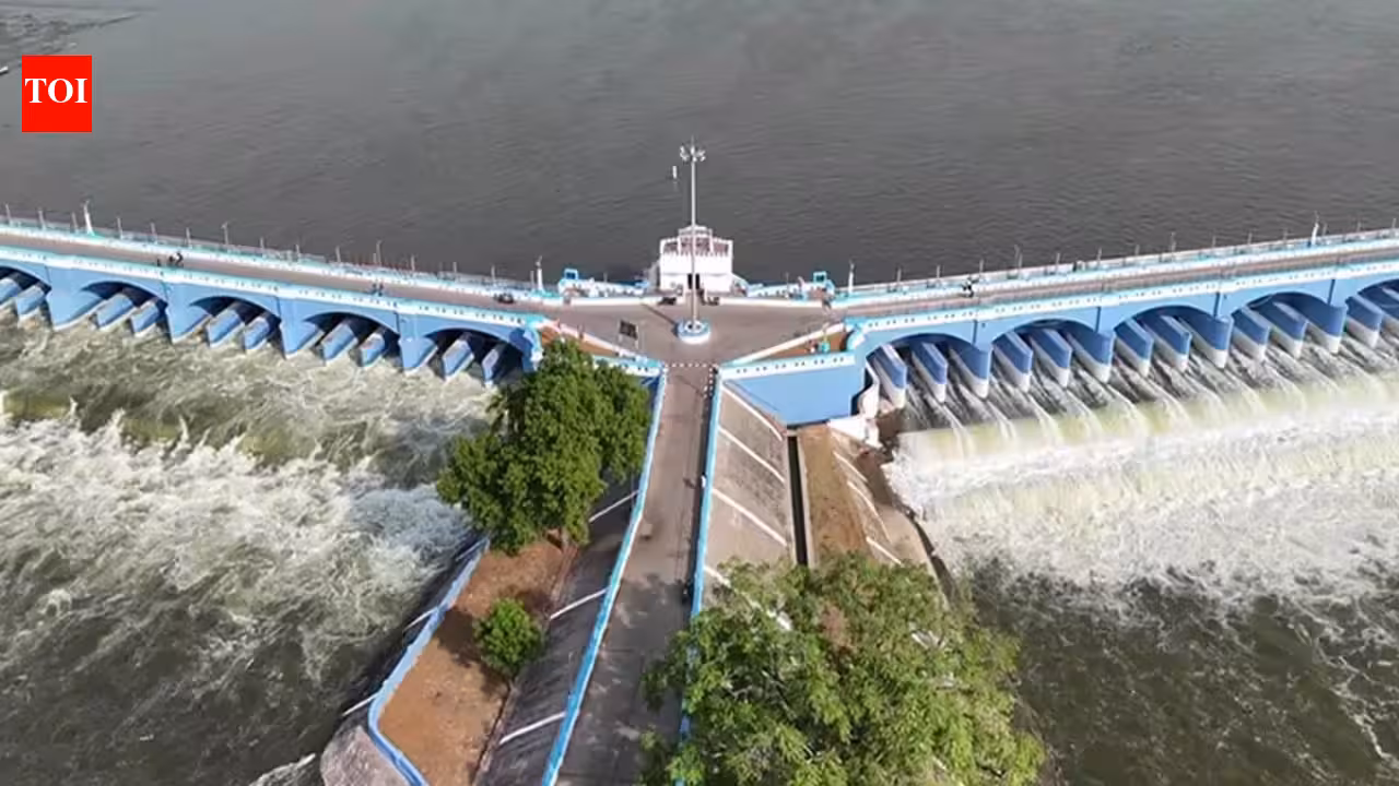 Cauvery Water Management Authority: Release 3,500 cusecs of water to Tamil Nadu: Cauvery authority to Karnataka | India News Cauvery Water Management Authority: Release 3,500 cusecs of water to Tamil Nadu: Cauvery authority to Karnataka | India News