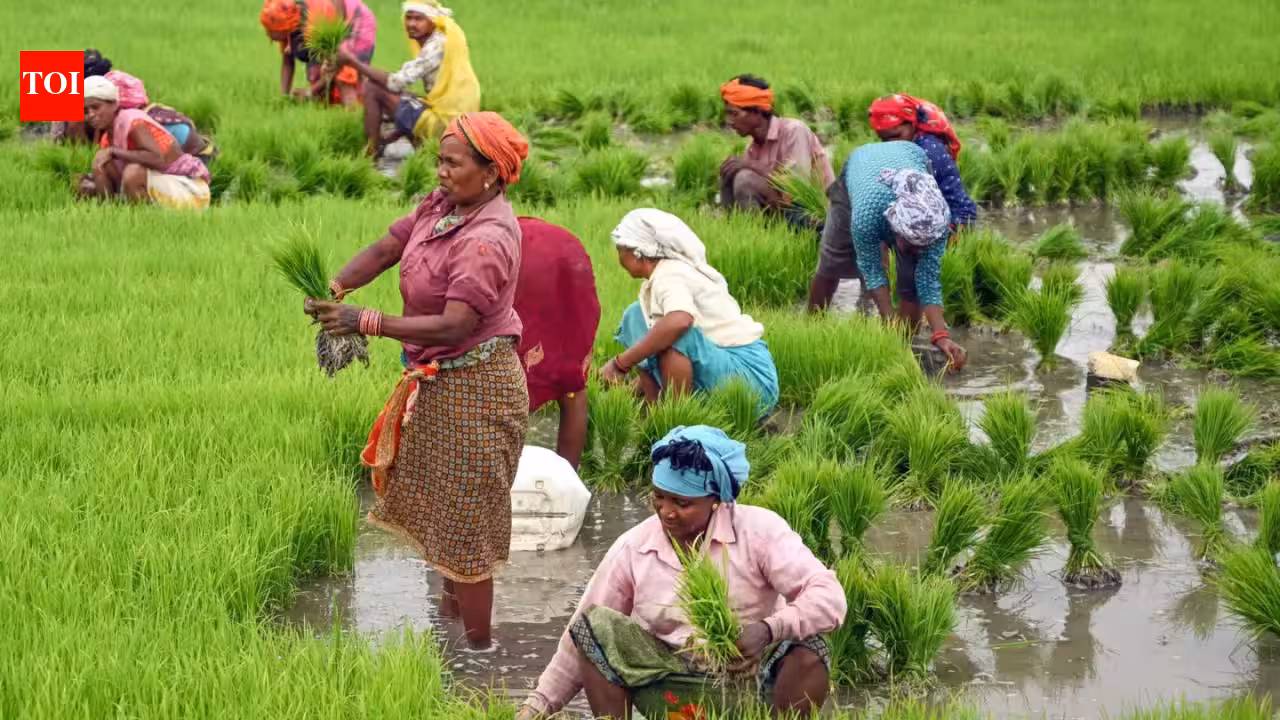 Govt extends PM-Kisan yojana | India News Govt extends PM-Kisan yojana | India News