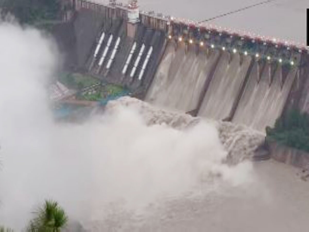All gates of Salal Dam opened as Chenab swells after heavy rain