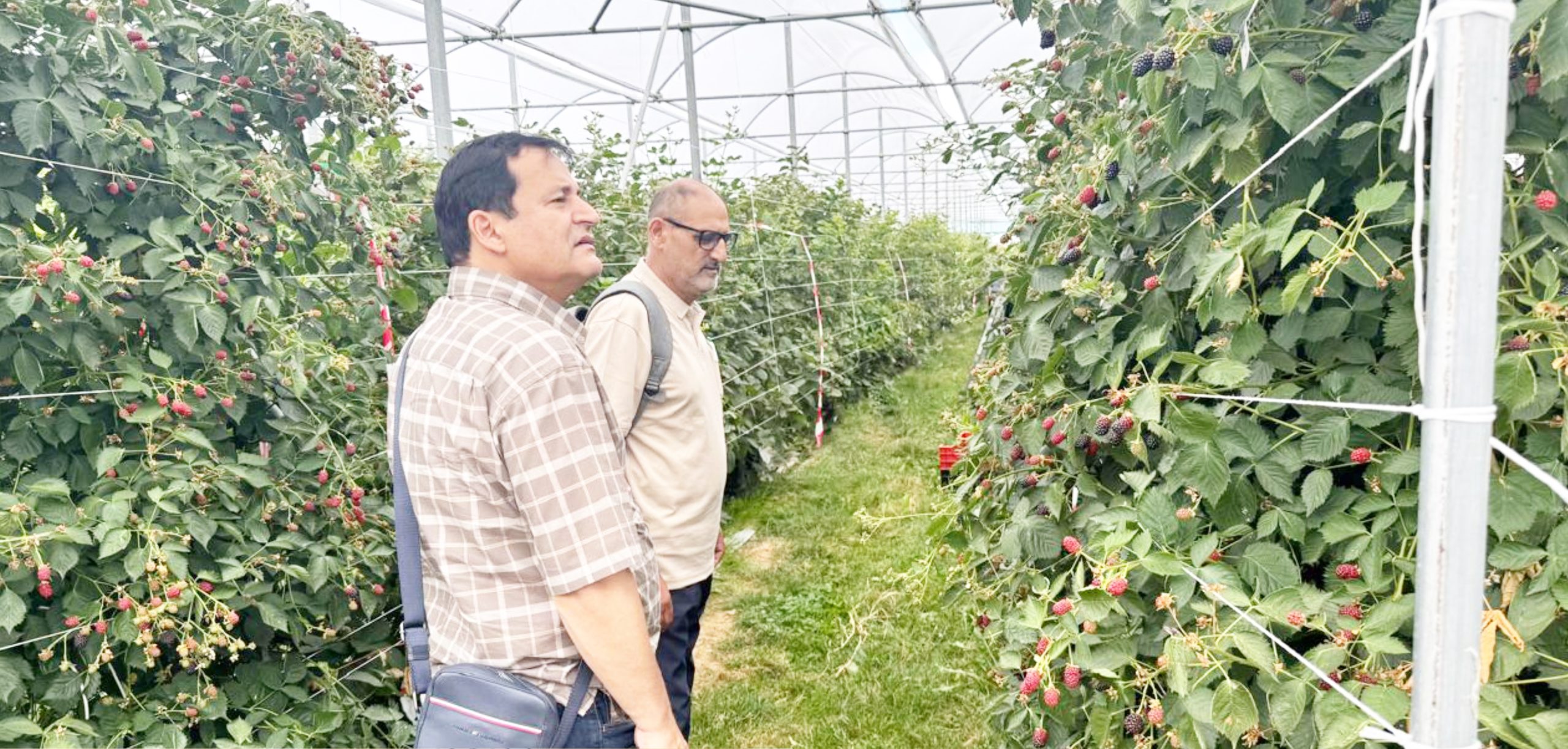 J&K explores global best practices to modernise horticulture sector, enhance farmer income