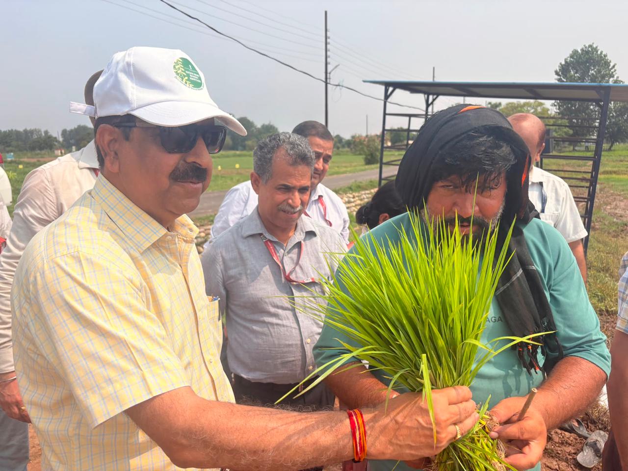 SKUAST-J celebrates Rice Transplanting