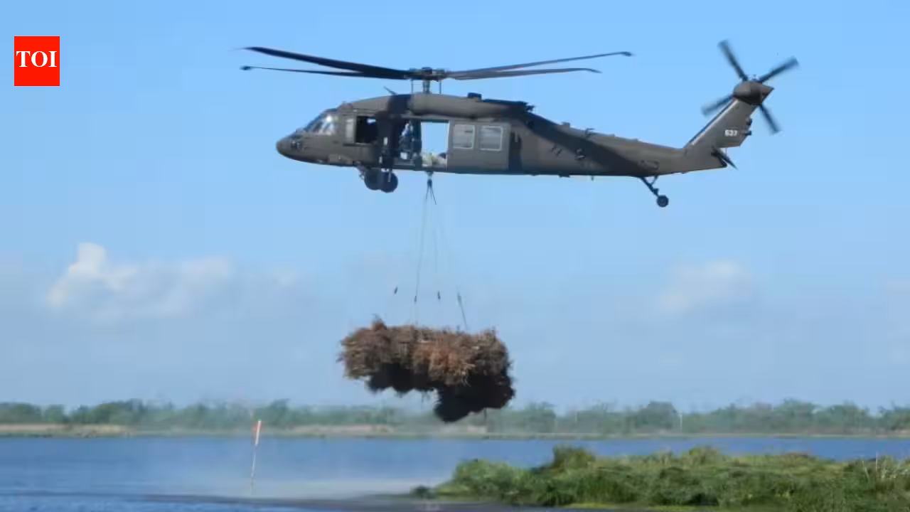 New Orleans: New Orleans collected 9,000 discarded Christmas trees and airlifted them into coastal wetlands; the programme has restored marsh equal to nearly 200 football fields