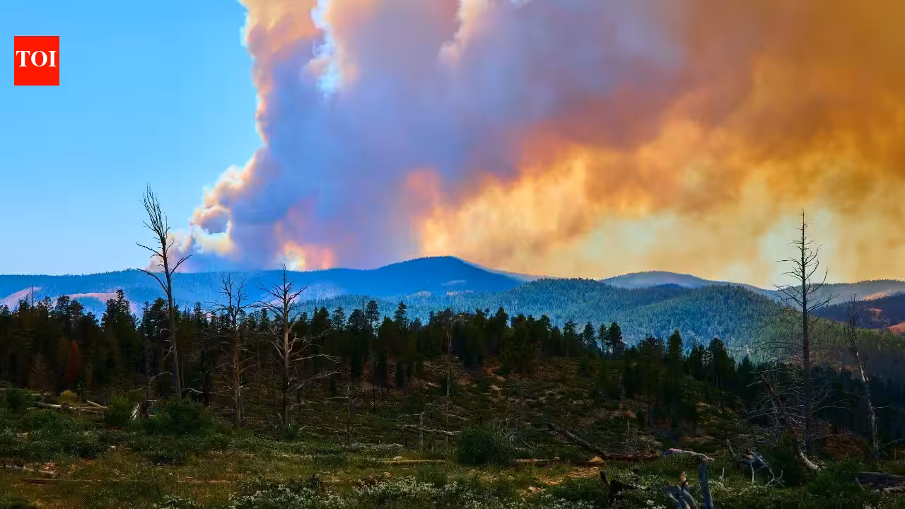 Wildfires burned 42,000 hectares and forced 220,000 evacuations near Bordeaux; now France’s wine country fears damage that may only emerge in the bottle