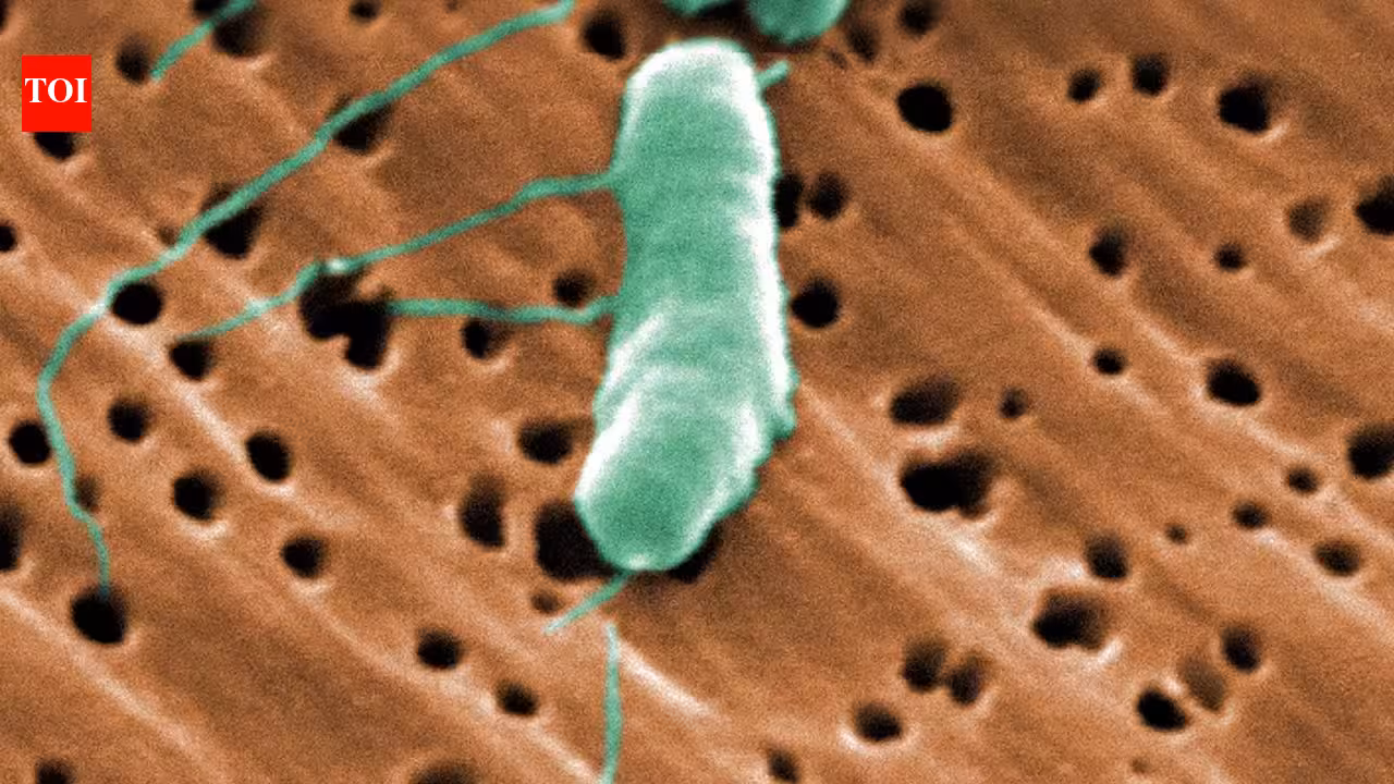 Florida’s first flesh-eating bacteria death of 2026 raises concerns during beach season as warm waters fuel infections | Florida’s first flesh-eating bacteria death of 2026 raises concerns during beach season as warm waters fuel infections |