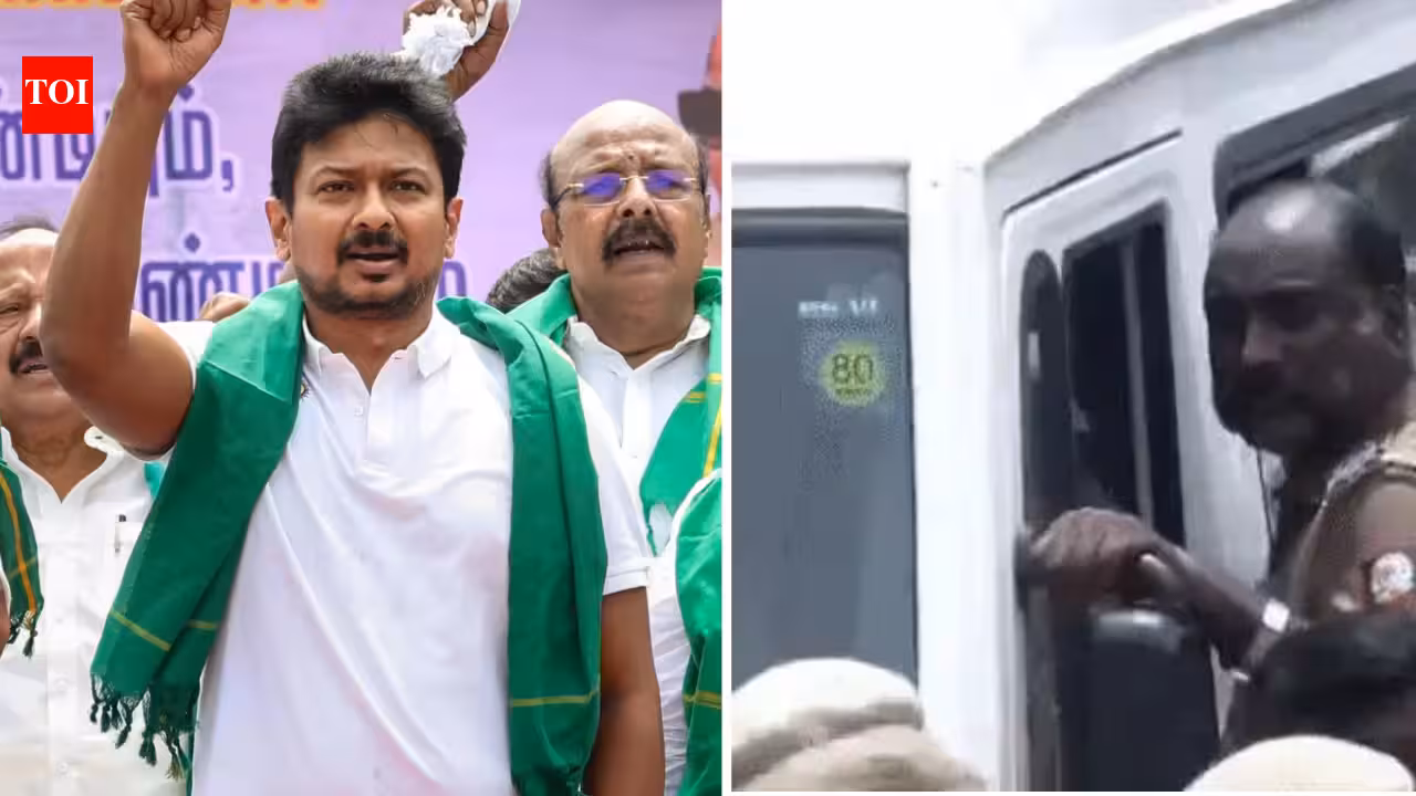 ‘Did I say anything wrong?’ Udhayanidhi Stalin’s first reaction after detention over ‘vulgar’ remark | India News