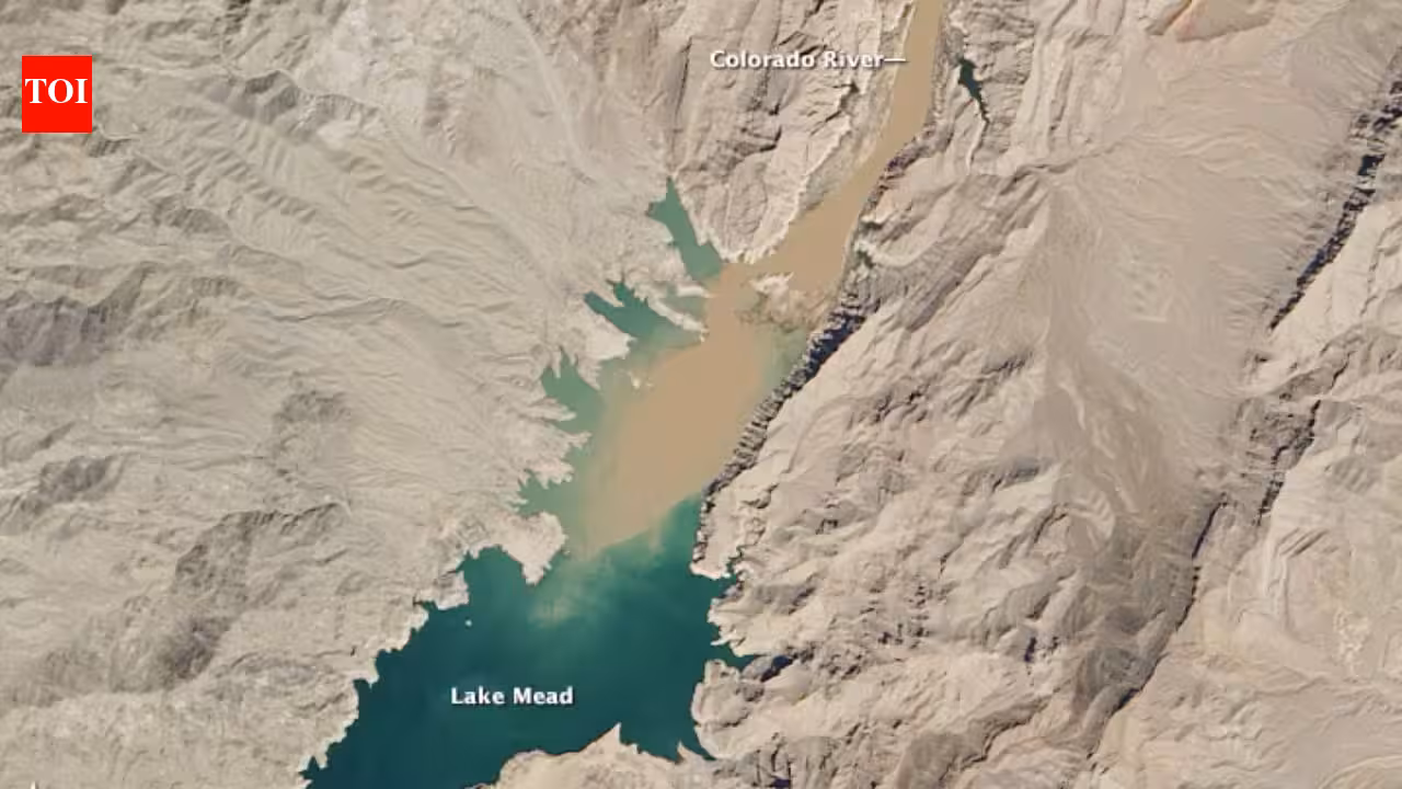 West American dams are on the verge of shutting down: Lack of maintenance is filling them with silt faster than ever, making the great structures obsolete | World News West American dams are on the verge of shutting down: Lack of maintenance is filling them with silt faster than ever, making the great structures obsolete | World News