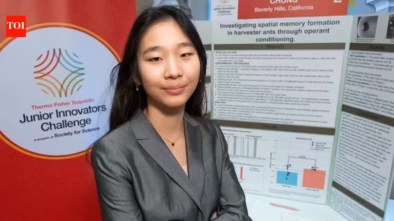 Meet Seungah Chung, the US eighth-grader who used 200 ants and a maze to discover they navigate by landmarks Meet Seungah Chung, the US eighth-grader who used 200 ants and a maze to discover they navigate by landmarks