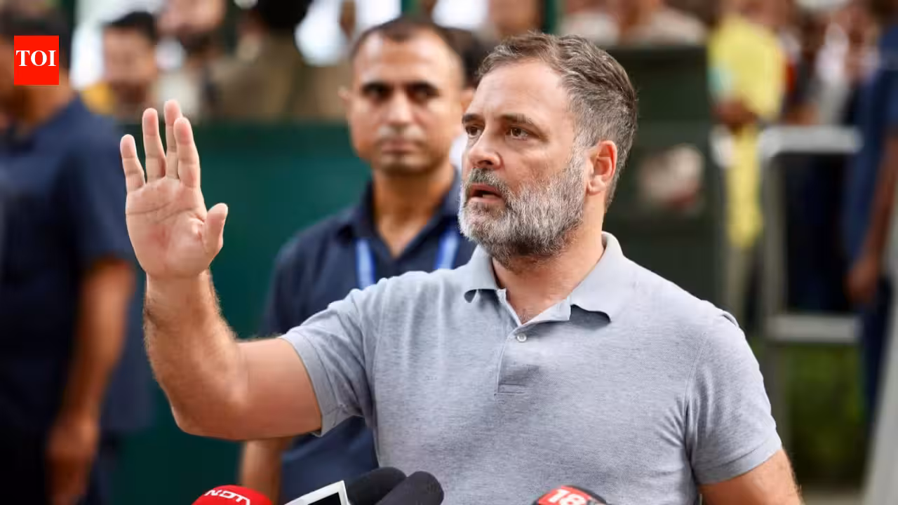 Rahul Gandhi flags Ken-Betwa tribal displacement; Centre forwards complaints to MP govt | India News