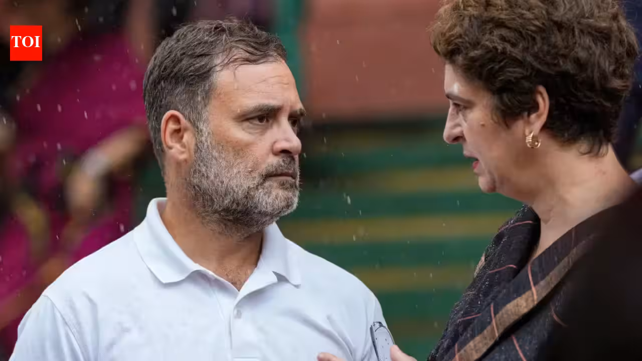 Need to seal alliance deal with SP soon for UP polls, MPs tell Congress leadership | India News