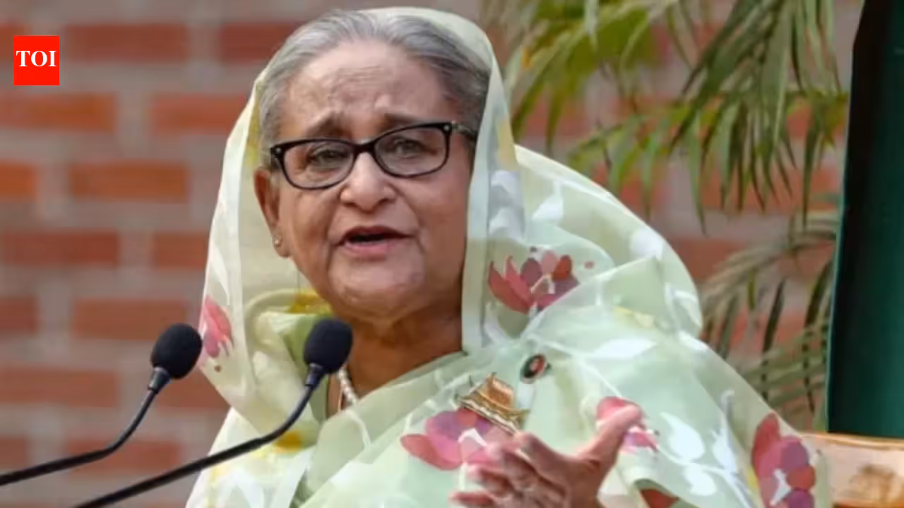 No government role, don’t endorse Hasina’s remarks at private media event: MEA | India News No government role, don’t endorse Hasina’s remarks at private media event: MEA | India News