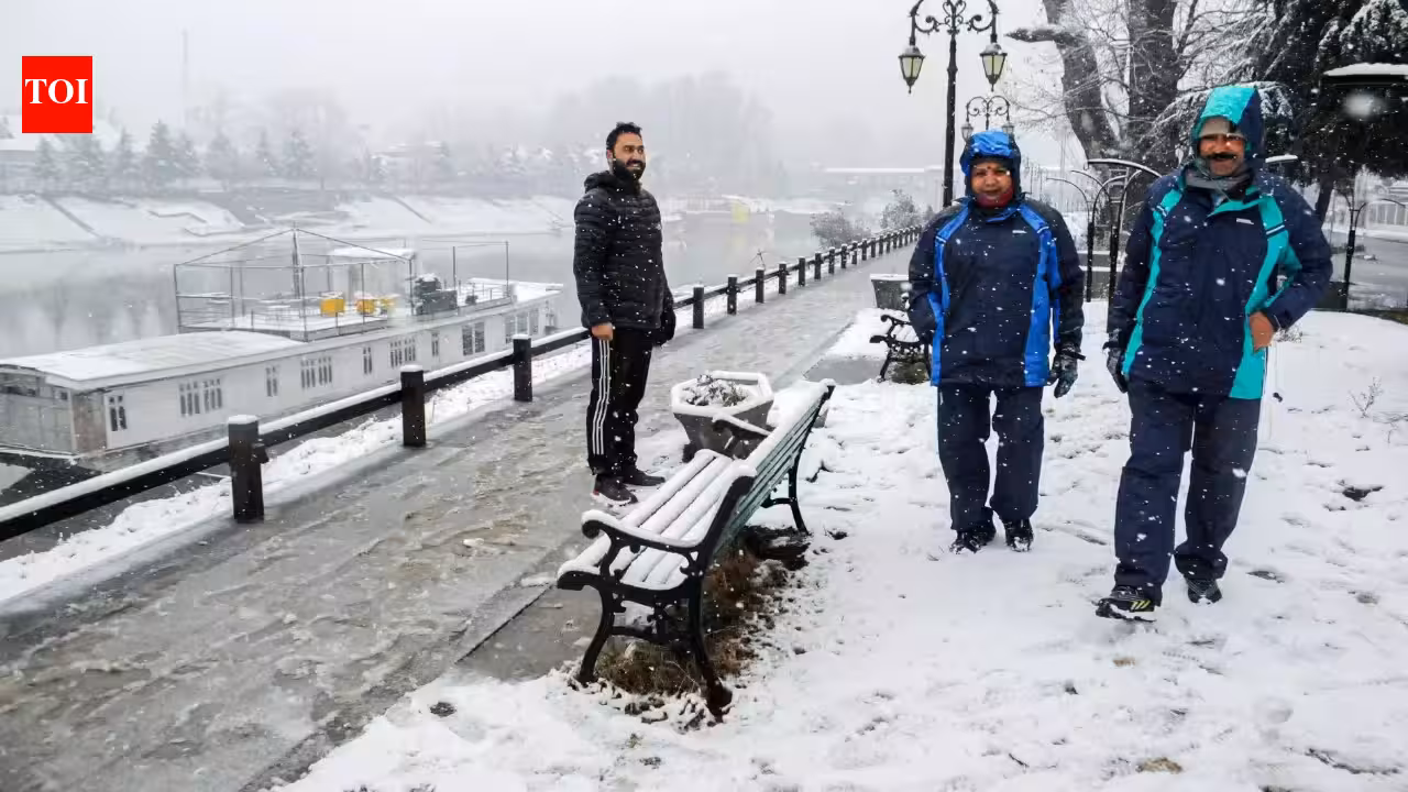 Restore J&K statehood, says human rights forum | India News Restore J&K statehood, says human rights forum | India News