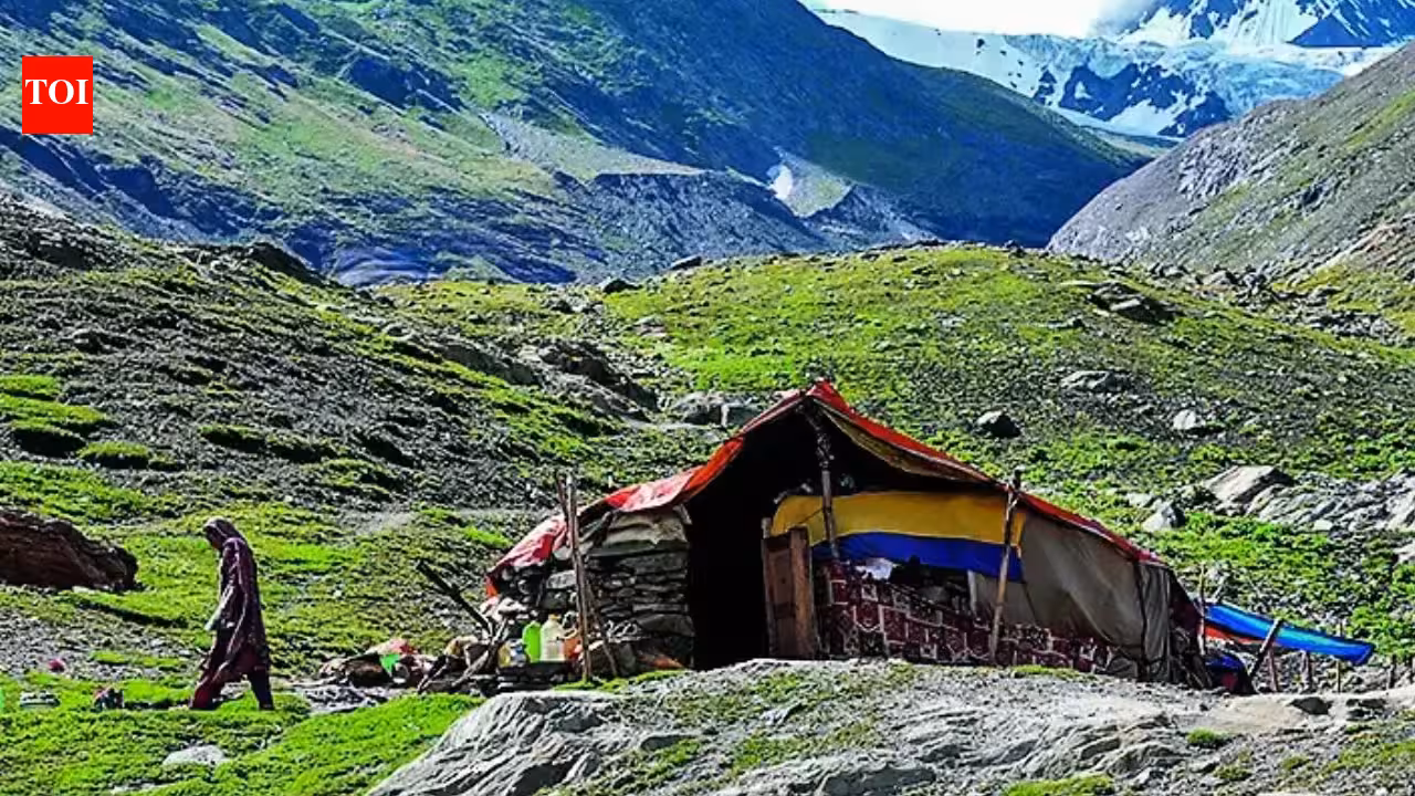 Kashmir route outpaces Manali as Ladakh tourism surges | India News Kashmir route outpaces Manali as Ladakh tourism surges | India News