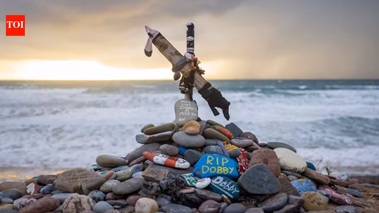 Harry Potter fans get £430m power link between UK, Ireland rerouted to save Dobby’s ‘grave’ Harry Potter fans get £430m power link between UK, Ireland rerouted to save Dobby’s ‘grave’