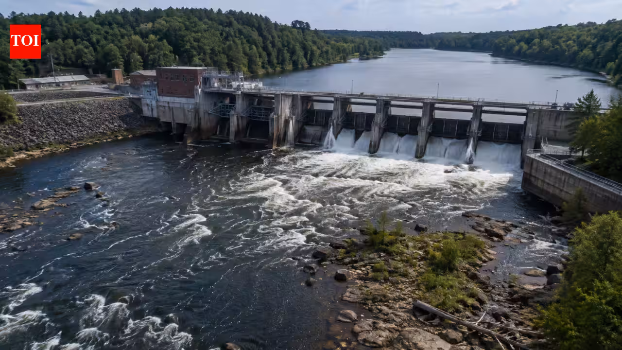 Hydroelectric Power Generation: North Carolina dam tested three water flows for 20 years, and scientists found the level that protects river wildlife while keeping more water for power | World News