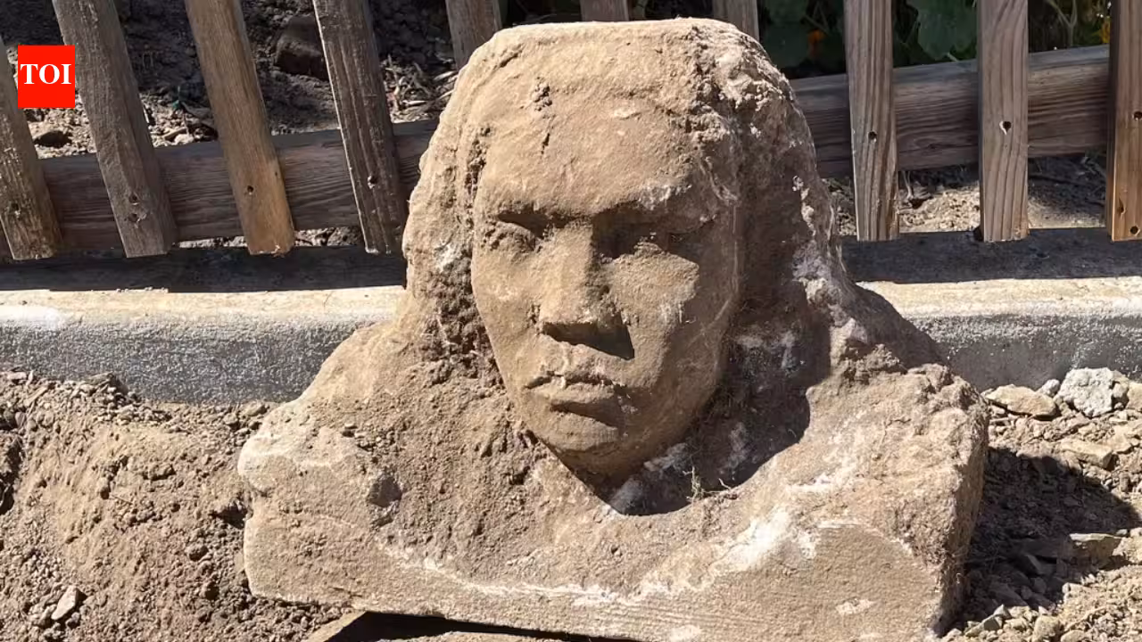 A San Francisco man was digging in his backyard when his shovel hit something hard; he unearthed a 150-pound limestone sculpture and nobody knows who made it