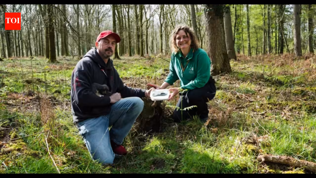 Man walking his dog discovers a 3,400-year-old Bronze Age axe in an English forest | World News Man walking his dog discovers a 3,400-year-old Bronze Age axe in an English forest | World News