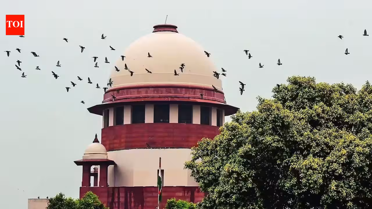 Paternity test of child can be allowed in marital dispute: SC | India News Paternity test of child can be allowed in marital dispute: SC | India News